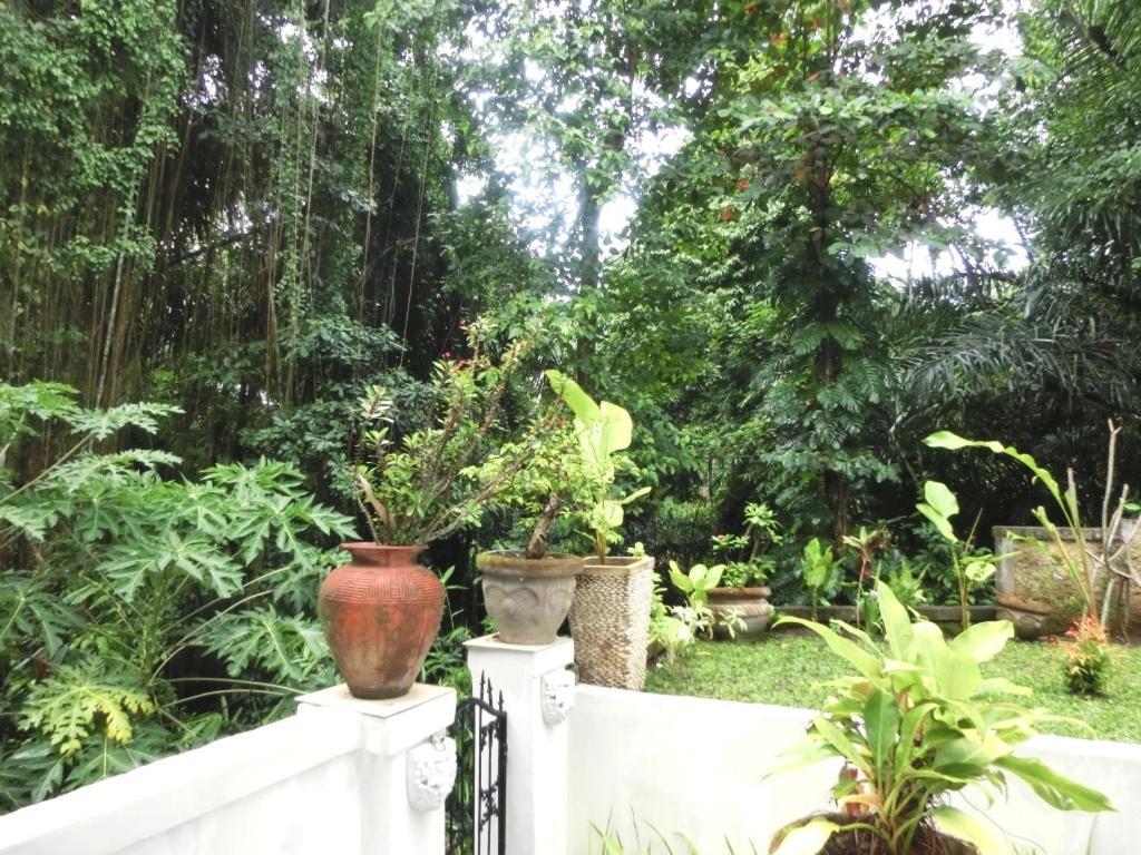 Latugu Homestay Ubud Quarto foto